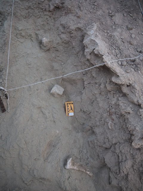 Luba gadhi lithic.