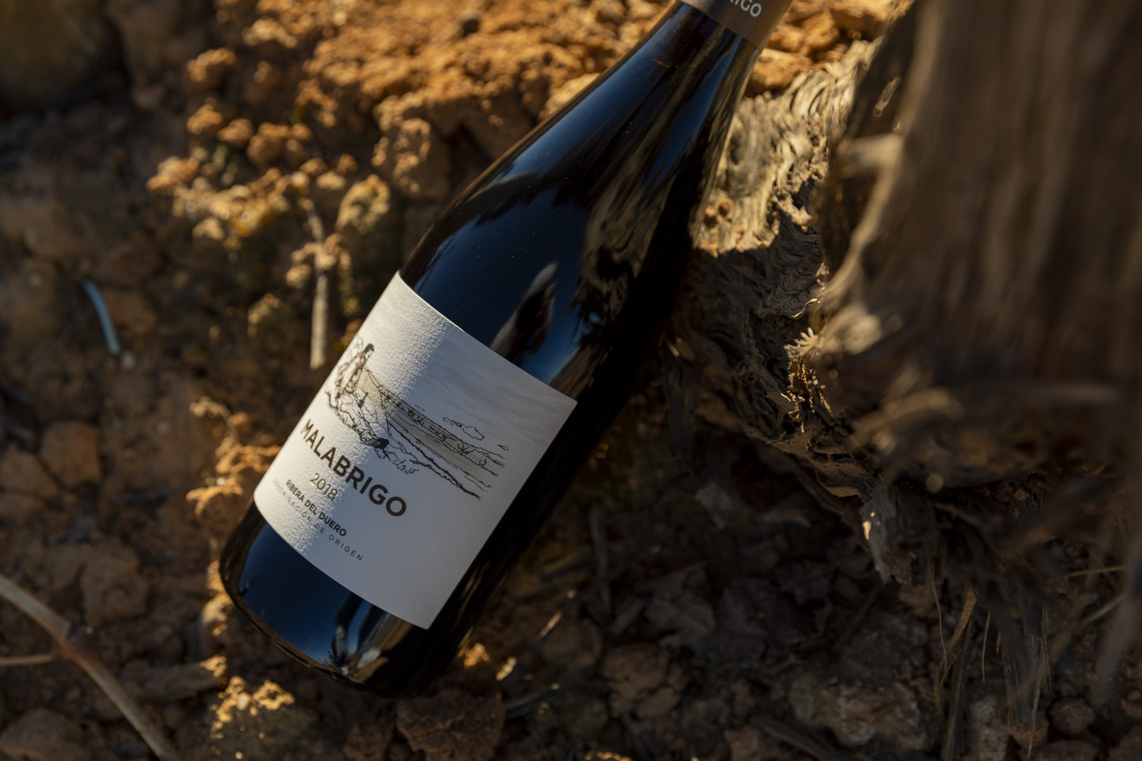 A bottle of Malabrigo wine.