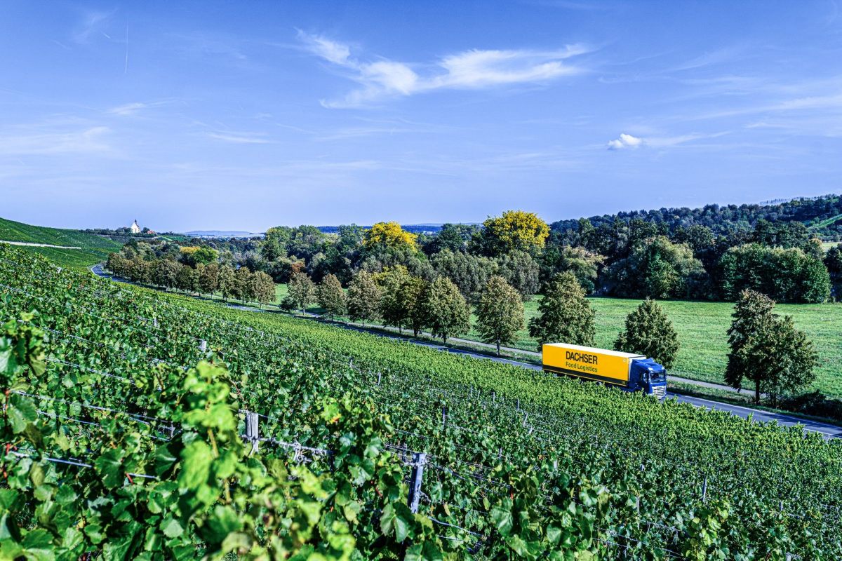 A yellow and blue Dachser Food Logistics truck drives along a road surrounded by lush green vineyards and rolling hills under a clear blue sky. Trees line the road, and a small church is visible in the distance on a hill.