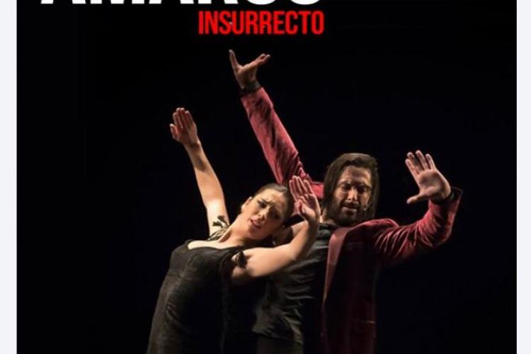 Promotional poster for the Rafael Amargo Insurrecto show.