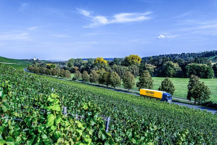 A yellow and blue Dachser Food Logistics truck drives along a road surrounded by lush green vineyards and rolling hills under a clear blue sky. Trees line the road, and a small church is visible in the distance on a hill.