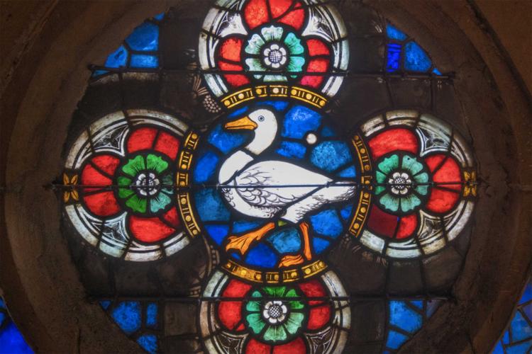 Circular stained glass window with a white goose in the center surrounded by red, green and blue floral motifs.