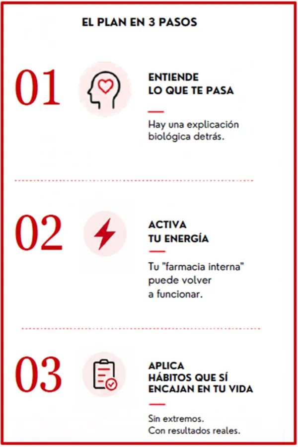 Diagrama del plan en tres pasos.