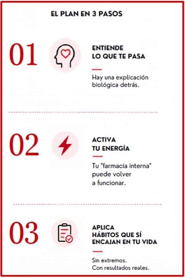 Diagrama del plan en tres pasos.
